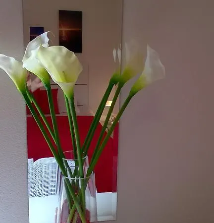 Cozy New Flat For 2 Or 3 아파트 흐바르