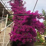 Apartman Cozy New Flat For 2 Or 3 Hvar Town
