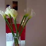 Cozy New Flat For 2 Or 3 Apartman Hvar Town