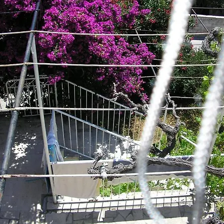 Apartament Cozy New Flat For 2 Or 3