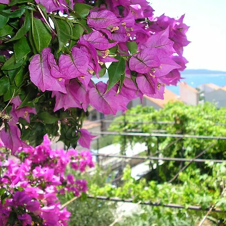 Cozy New Flat For 2 Or 3 Apartament