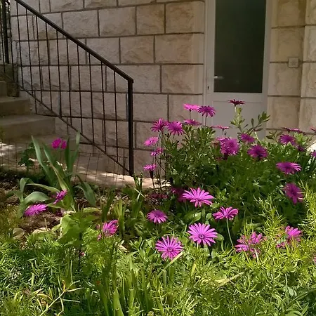 Cozy New Flat For 2 Or 3 *