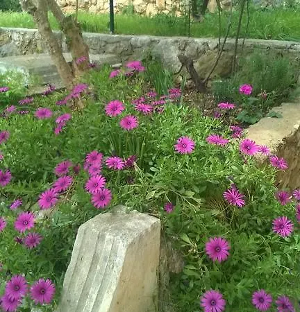 Cozy New Flat For 2 Or 3 *