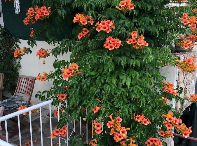 Appartamento Cozy New Flat For 2 Or 3 *