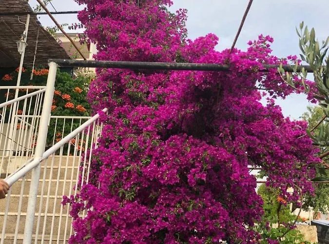 Appartamento Cozy New Flat For 2 Or 3 Hvar Town