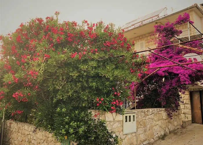 Cozy New Flat For 2 Or 3 Appartamento