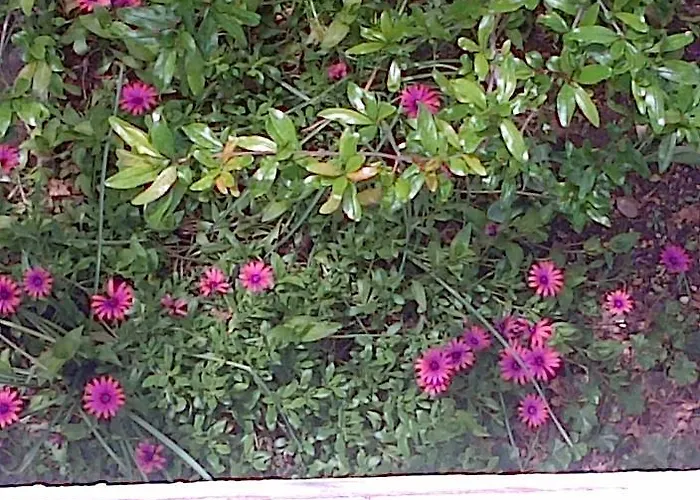 Appartamento Cozy New Flat For 2 Or 3