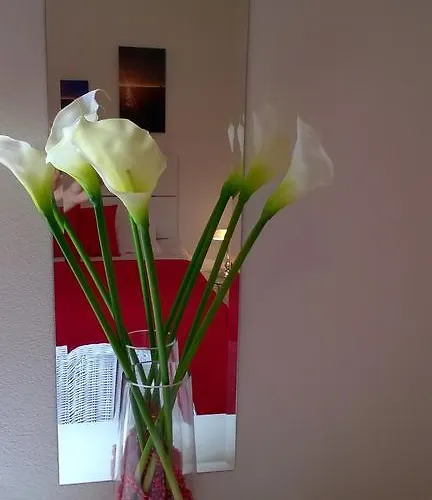 Cozy New Flat For 2 Or 3 Appartamento Hvar Town