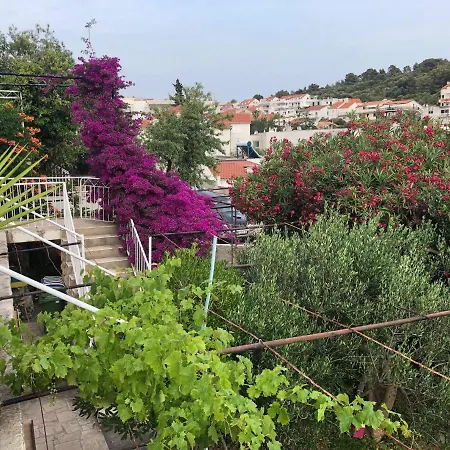 Cozy New Flat For 2 Or 3 *