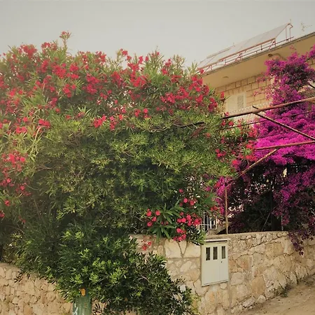 Cozy New Flat For 2 Or 3 شقة