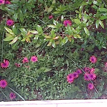 شقة Cozy New Flat For 2 Or 3